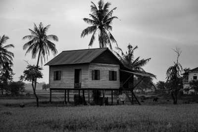 Cambodia - Krong Siem Reap - Natural Cambodia - 🐾 a trip that no one has ever taken ⚡ (Angkor temples, capital, jungles and relax at the Island are included!) - 1