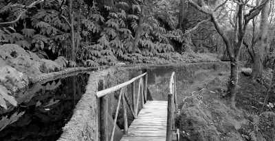 Portugal - Lagoa do Fogo - Discover the Natural Wonders of São Miguel, Azores: Hiking and Hot Springs Adventure in Portugal - 2