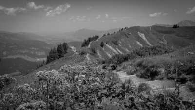 Deutschland - Fellhorn - A Magical Experience | Walkshop | Allgäu | Fellhorn Ridge | German Alps | 4 days - 14