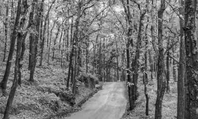 India - Landour - Feel the Nature's Warm Embrace in Dehradun and Landour, India - 2