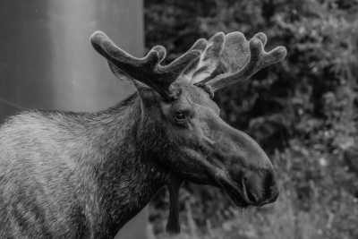 North America - Vancouver - 3 weeks CANADA & ALASKA 🍁 Epic road trip in British Columbia and Alberta with UNESCO Jasper and Banff (CA, USA July 2026) - 2