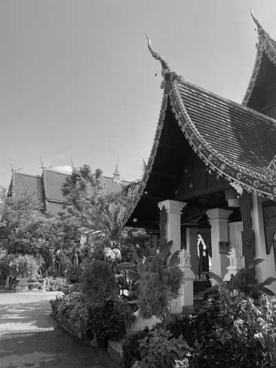 Thailand - Chiang Mai - Adventure trip to the most beautiful parts of Northern Thailand - I will show you the underrated north side of this nature paradise 🗺🚣🏽🦋🌞🐛🚞🌻🪨🌳🌺🌄 - 4