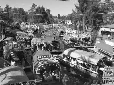 Mexico - Xochimilco - 10 day Coworking Trip in the heart of Mexico city with a local, in your own private apartment - 2