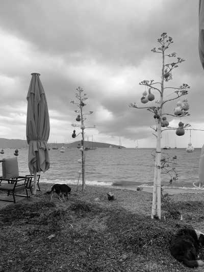 Turkey - Bodrum - All Girls Trip in the Serene Mugla, Turkey 🔆🏖 - 2