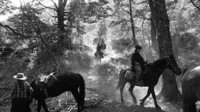 Argentina - Rio Turbio - Majestic Horse Riding Adventure,"Eye To Eye with the Condor"