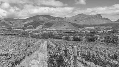 South Africa - Franschhoek - Cape Town Collective: Work, Wine, and Dine in the Sunshine - 2