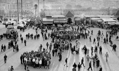Marokko - Meknes - Discover the Hidden Gems of Fez: A Journey Through Morocco's Cultural Capital - 4