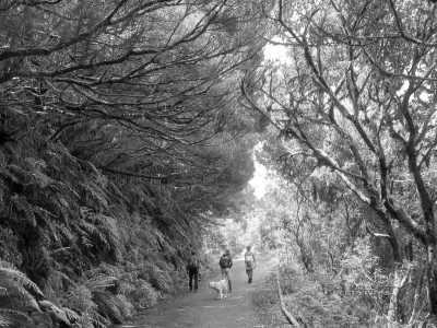 Spain - Taganana - Discover Tenerife's Hidden Gems on a Guided Trip Off the Beaten Track - 3