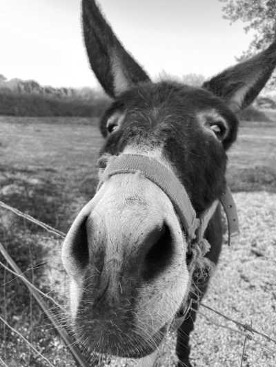 Portugal - Salema - Fishermen's Trail - Küstenwanderung in Portugal