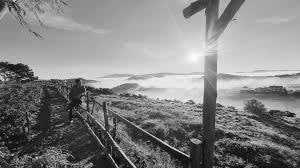 Vietnam - Dalat - Remote Working in Vung Tau Cape : Escape the Big City - 8