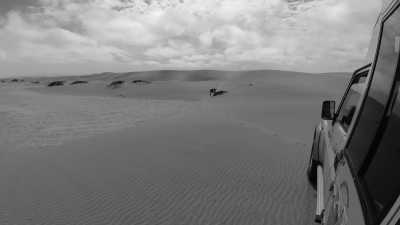 Namibia - Swakopmund - Namibia - Eine unvergessliche Reise mit Tierbegegnungen