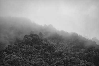 Puerto Rico - El Yunque National Forest - Let's create some content: A photographer's Adventure-Packed Trip to Puerto Rico - 4