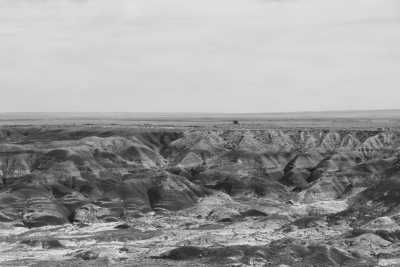 United States - Gallup - From Chicago to the Pacific: The Ultimate Route 66 Adventure - 1