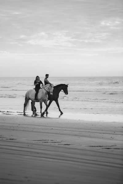 Indonesien - Gili Meno - Discover the Paradise of the Gilis: Gili Trawangan, Gili Air, and Gili Meno - Lombok to Bali Adventure - 3