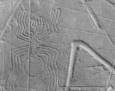 Peru - Paracas - Peru Highlights: Machu Picchu, Cusco, Nazca lines, Food, and More! (January 6, 2025) - 1