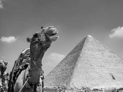 Egypt - Giza - Grand Tour of Egypt - Desert oasis of Siwa and Pyramids of Giza! (part 1) - 3