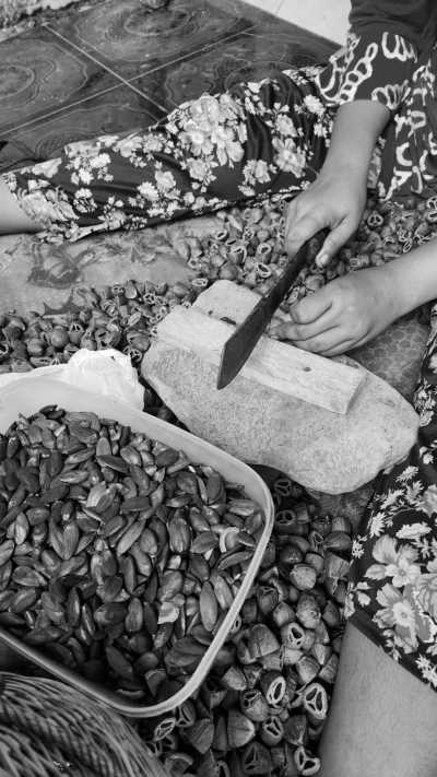 Indonesia - Banda Island - Secluded Spice Island Adventure in Banda Naira, Indonesia: Hike an Active Volcano, Swim in the Sea, and Immerse in Cultural Exploration - 5