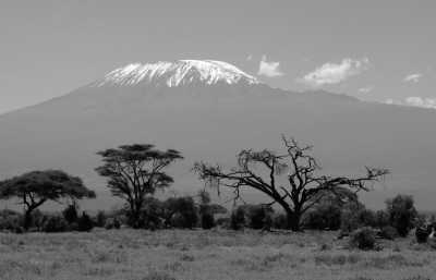 Tanzania - Kilimanjaro Flughafen - Discover Tanzania and experience the African safari with a local!