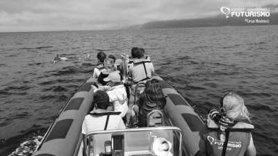 Portugal - Lajes Do Pico - Exploring for 7 days Pico Island, Portugal - Hiking, Sightseeing and More 🏝️ - 2