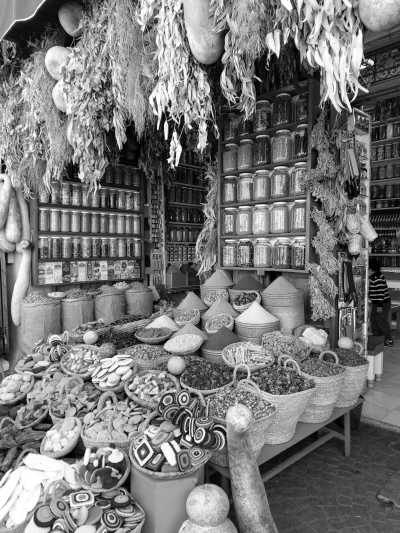 Morocco - Ourika Valley - Marrakech, Morocco Travel worry-free (Yoga, discovery, food and tours) - 5