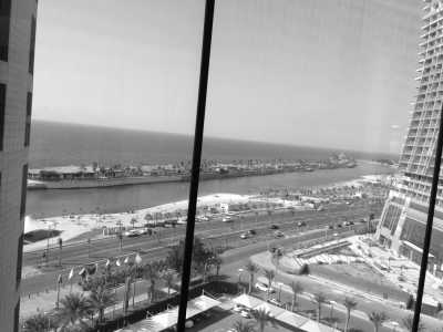 Saudi Arabia - Jeddah - Visit Saudi Arabia with a local 🏜️ Explore Arabian Nights ✨ - camel rides, dune buggies & more - 3