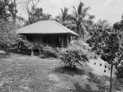 Belize - River Bend Lodge Cayo - Experience Belize Like a Local: Authentic Travel Adventures Await - 7