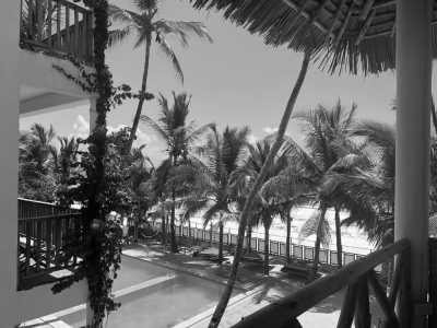 Tanzania - Sky&Sand Zanzibar Beach Resort - Exploring the Enchanting Beauty of Zanzibar, Tanzania: A Captivating Travel Destination - 2