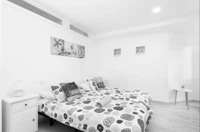 Spain - Puerto de la Cruz - Carnaval & More 🥁🌴  Let's enjoy Tenerife's nature, mountains and beaches during the day, and party at the biggest Carnaval of Europe on various evenings 💃🏽 - 2