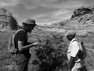 Madagascar - Ambositra - Enchanting Madagascar: A Journey through Nature's Wonderland 🌍 - 1