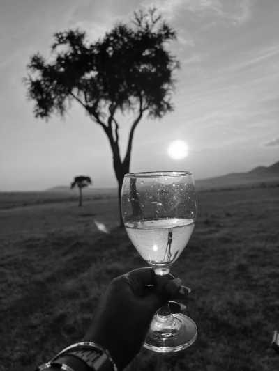 Kenia - Maasai Mara National Reserve - Kenyan Wonders Safari: All inclusive Maasai Mara, Lake Nakuru, Amboseli and Nairobi Adventure - 11