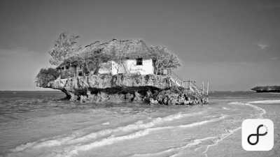 Tanzania - Mafia Island - Your Ultimate Travel Destination with 99% of Natural Reserve: Tanzania - 6