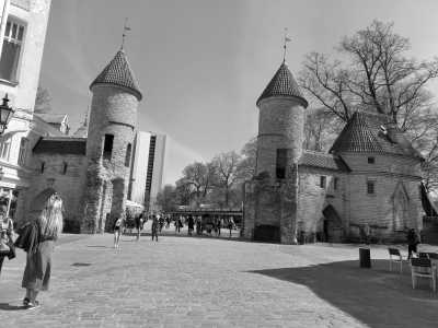 Estonia - Tallinn - Weekend winter Trip Christmas Markets and National Park in Talinn, Estonia - 2