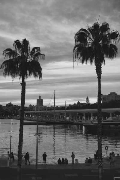 Spanien - La Térmica - Dynamic Trip in sunny Málaga: Flamenco, Hiking, Tapas and Yoga (private room)💃✨🌅 - 4