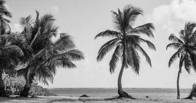 Karibik - Gustavia - Segeln & Tauchen - Entdecker-Törn in der Karibik: British Virgin Islands (BVI) und Leewards - 1