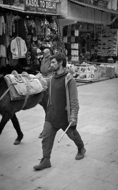 India - Kasol - Himalayan Odyssey: Discovering the Beauty of Himachal Pradesh in India - 2