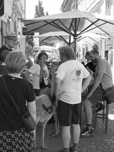 Slovenia - Ljubljana - Savoring Slovenia: A Slow Travel Journey into Untouched Beauty - 5