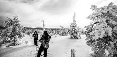 Finnland - Ounasvaara Ski Oy - Explore snowy Finland before Christmas - Northern Lights, Santa Claus Village and Snowmobile Adventure - 1