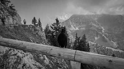 Deutschland - Jenner - Step into the Flow | Berchtesgadener Land | German Alps | 4 days - 2
