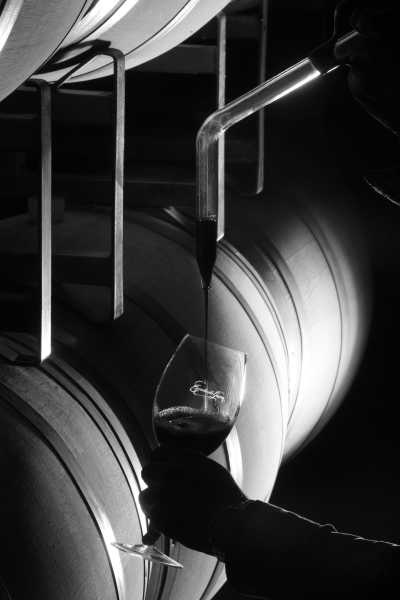 Argentina - Valle de Uco - Discover Mendoza, Argentina with a local: Mountains, Wine & Food Culture and more! - 10