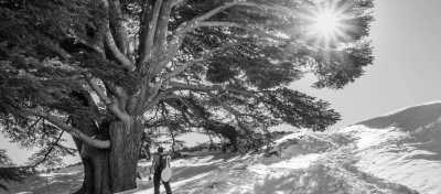 Lebanon - Cedars Of God Bsharri - Holidays & Coworking in Lebanon 🇱🇧💻