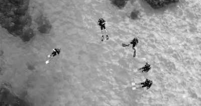 Mexico - Parque Nacional Arrecifes de Xcalak - New Year's Eve in Yucatan 🐳🌅 - Tulum, Mexico Off the beaten Path with a Local: Diving 🐙, Beach🌴 Fiesta & More!"