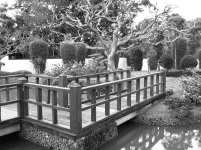 Indonesien - Taman Bunga Nusantara - Embrace Your Inner Adventurous Introvert in Indonesia: Unveil West Java in 4 Unforgettable Days! - 3