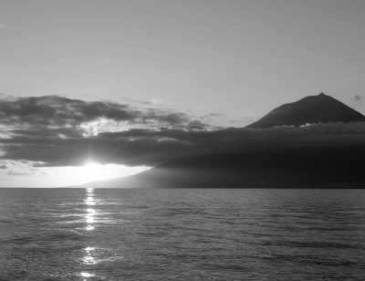 Portugal - Lajes do Pico - Azores - meet biggest whales & wild dolphins in their natural habitat  🐋 - 3