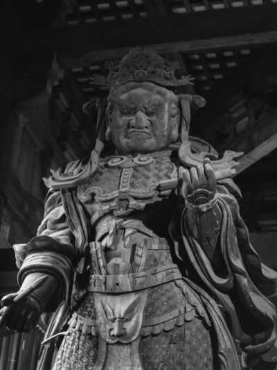 Japan - Nara Park - Traveling In Japan 🇯🇵 Like Locals In: Tokyo, Osaka, Kyoto & Nara For 2 Weeks - 3