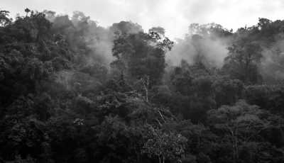 Colombia - Río Claro - Enjoy Medellin "City of Eternal Spring", Colombia ⛰️: Cool off in a clear river,  Immerse yourself in the Colorful Paisa Culture and Delight Yourself with the Best Coffee ☕ and a Crispy Chicharrón 🐽! - 7