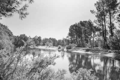 Europa - Landes de Gascogne Regional Natural Park - Southwestern France and Northern Spain in 6 days (City Visits, Natural Parks, B&B and Nature Camping) - 1