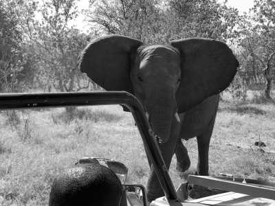 Sub-Saharan Africa - Chobe National Park - Wonders and Wildlife of Southern Africa - 1