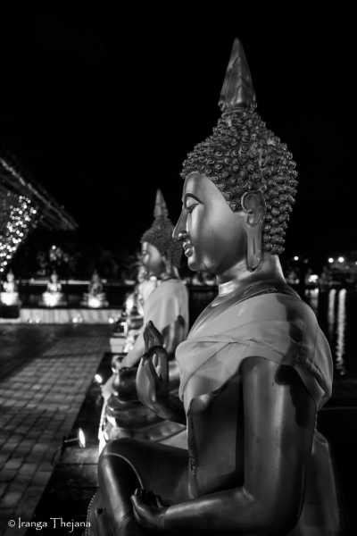 Sri Lanka - Colombo - Explore Sri Lanka for 5 Days: Kandy and Down South - 2