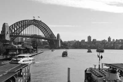 Australia - Sydney Harbour Bridge - Road Trip East Coast Australia: Explore City Life, Beaches Wild Animals 🌊✨