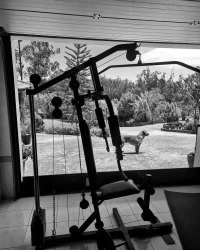 Portugal - Madeira Islands - CoLiving & CoWorking im Paradies Madeira: 4800 qm2 Palmengarten, eigener Schreibtisch, Gym, Game Room, ... - 4